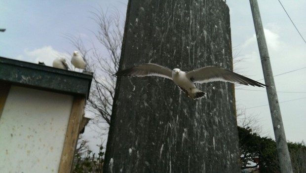 image1 (4)