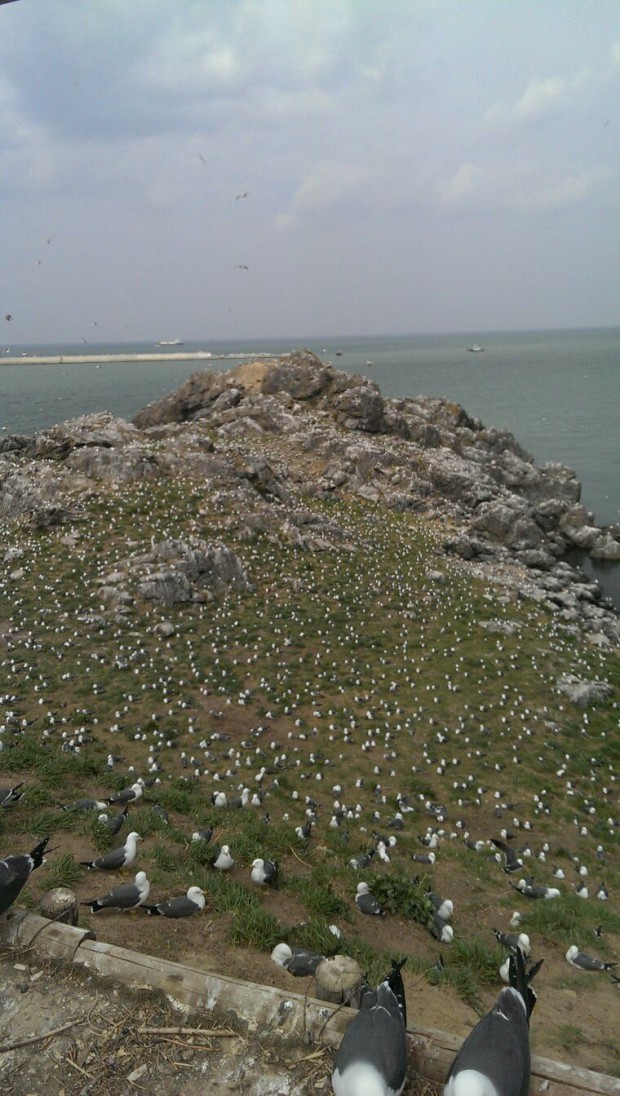 image2 (1)