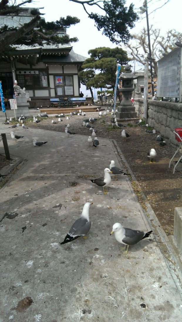 image3 (1)