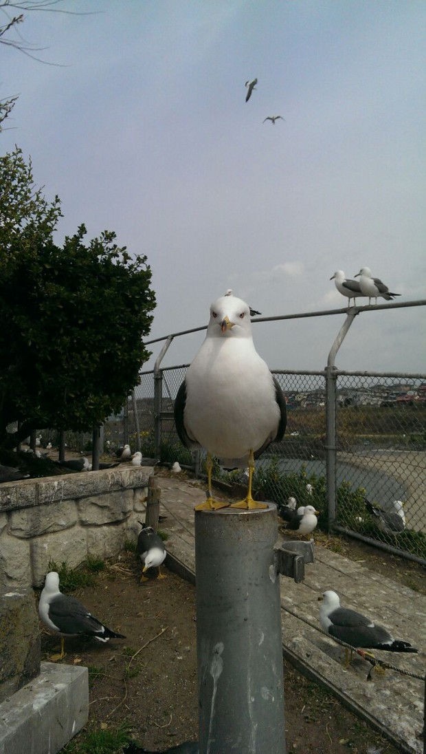 image3 (2)