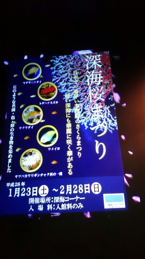 1457011808904